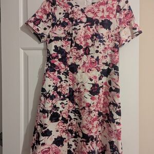 The Limited Pink and Black Floral Mini Dress
